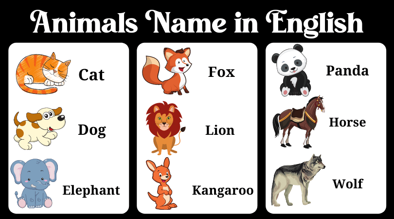 animal chart