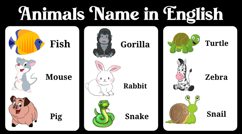 100 Animals Name in English - Animal Chart : Gk Hub