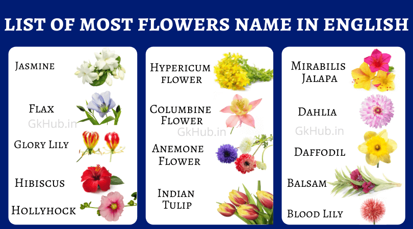 flower names