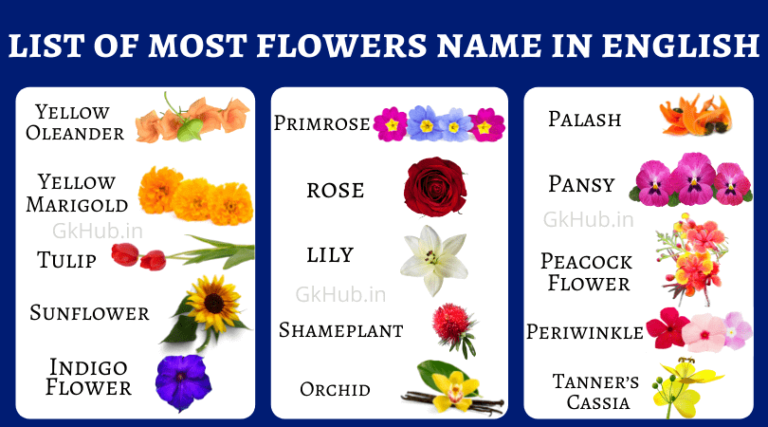 100 flowers Name in English- Names of Flowers : Gk Hub