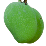 keri