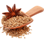 Anise in hindi