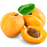 Apricot