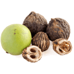 Black Walnut in hindi