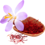 Saffron in hindi