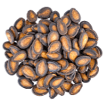 Watermelon Seeds in hindi