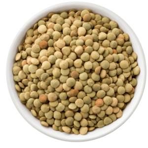 lentils in hindi