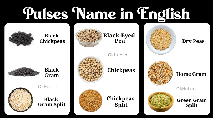 pulses Name in english