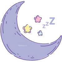 Effective kiwi fruit for sleep