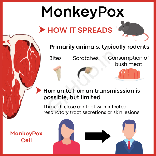 How does the monkey pox virus spread