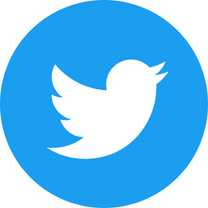 elon musk twitter