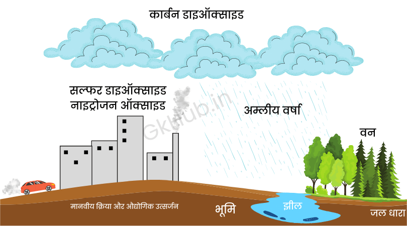 amliya varsha kya hai