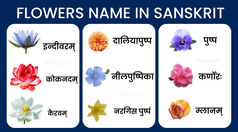 flower in sanskrit