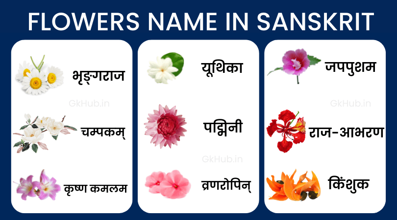 flowers name in sanskrit