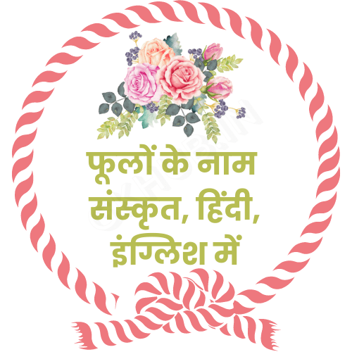 phoolon ke naam sanskrit mein