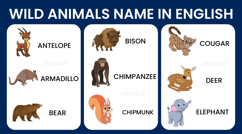 50 Wild Animals Name List With Pictures In English