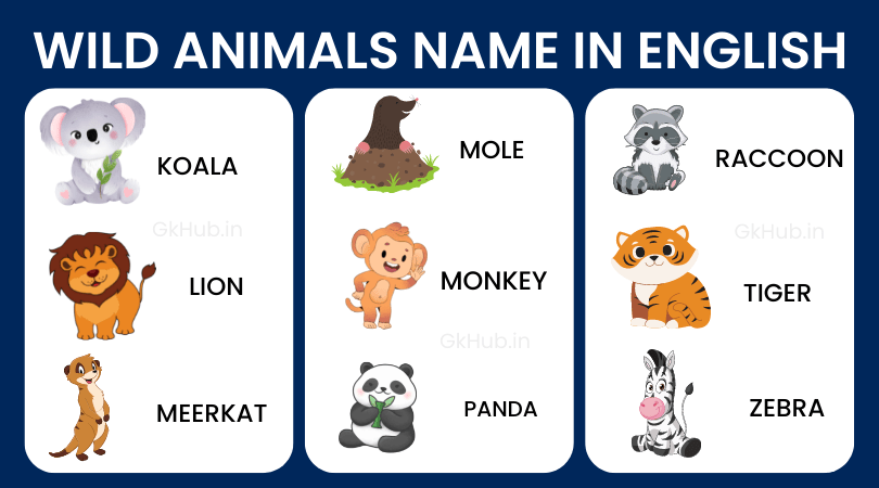 wild animals name