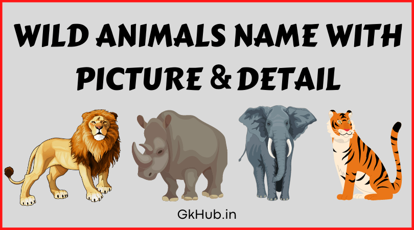 50+ Wild Animals Name List with Pictures in English :