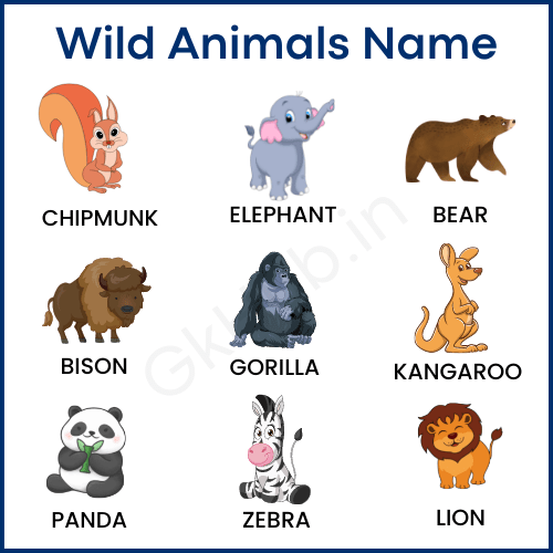 50+ Wild Animals Name List with Pictures in English :
