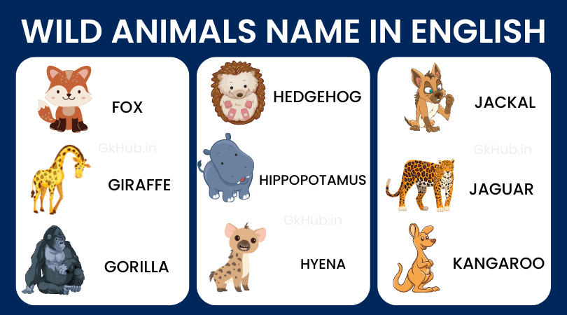 50+ Wild Animals Name List with Pictures in English : 50+ Wild Animals Name List with Pictures in English :