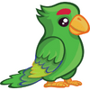 Parrot