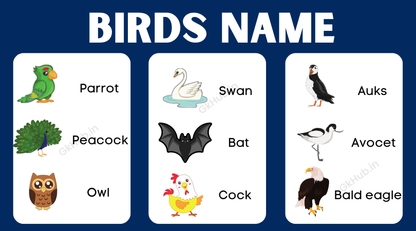 10 birds name