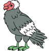Condor