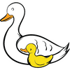 Cygnet