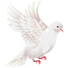 Doves