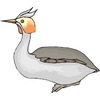 Grebe