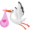 Stork
