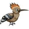 Hoopoe