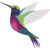Hummingbird