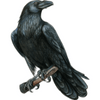 Raven