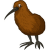 Kiwi Bird