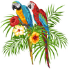 Macaw