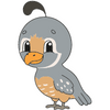 Quail