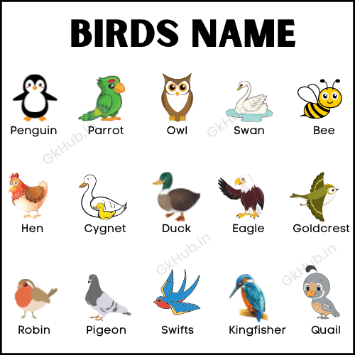 Birds Name In English - List of a Bird Name in English with Pictures