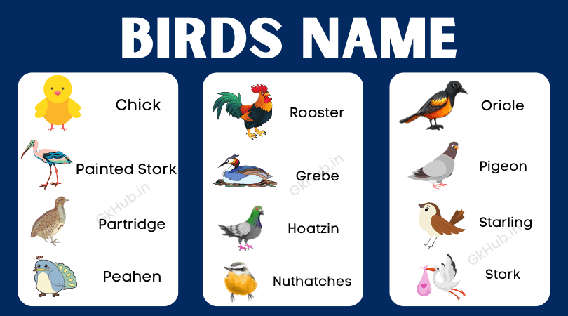 bird name