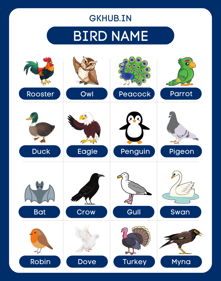 bird names in English