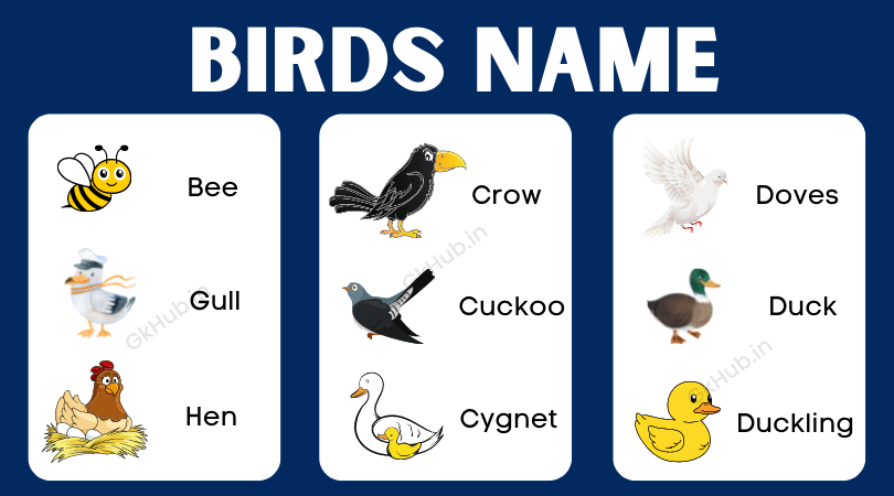 birds images with name