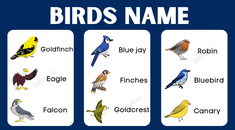 five birds name