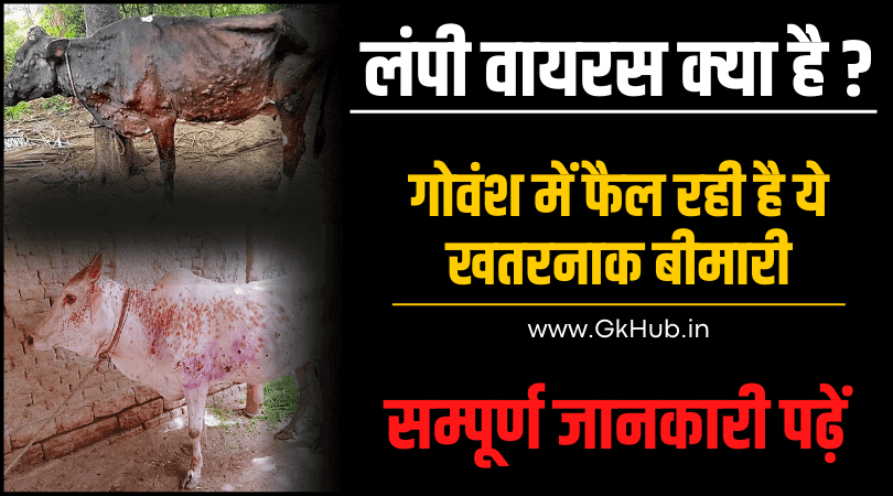 लंपी वायरस क्या है - पूरी जानकारी पढ़ें || Lumpy Skin Disease in Hindi 1 लंपी वायरस क्या है