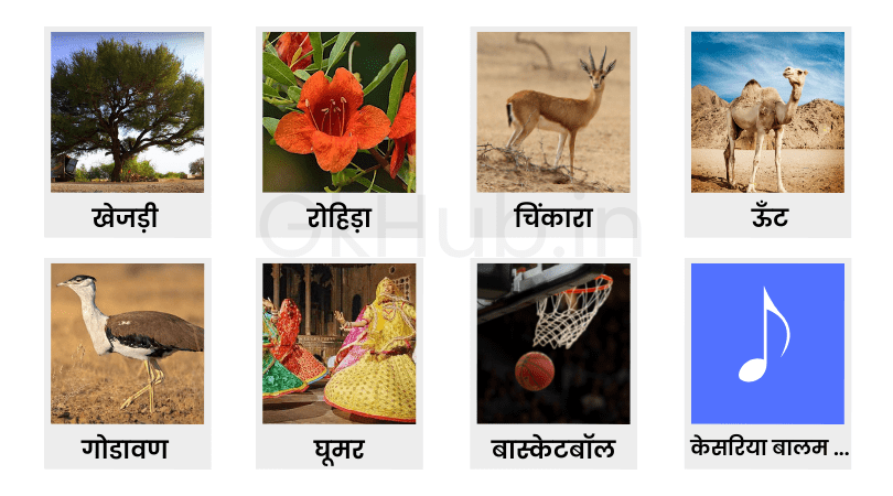 राजस्थान के प्रतीक चिह्न