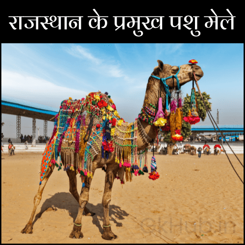 राजस्थान के पशु मेले